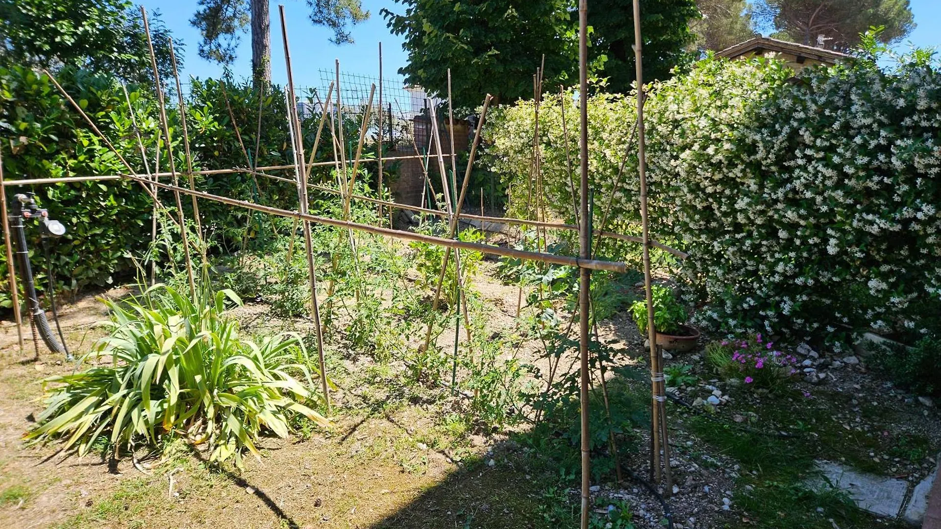 Holiday home La Casa Di Bach Villa Perugia
